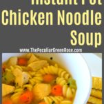 A white bowl filled with delicious chicken noodle soup with crackers on the side.