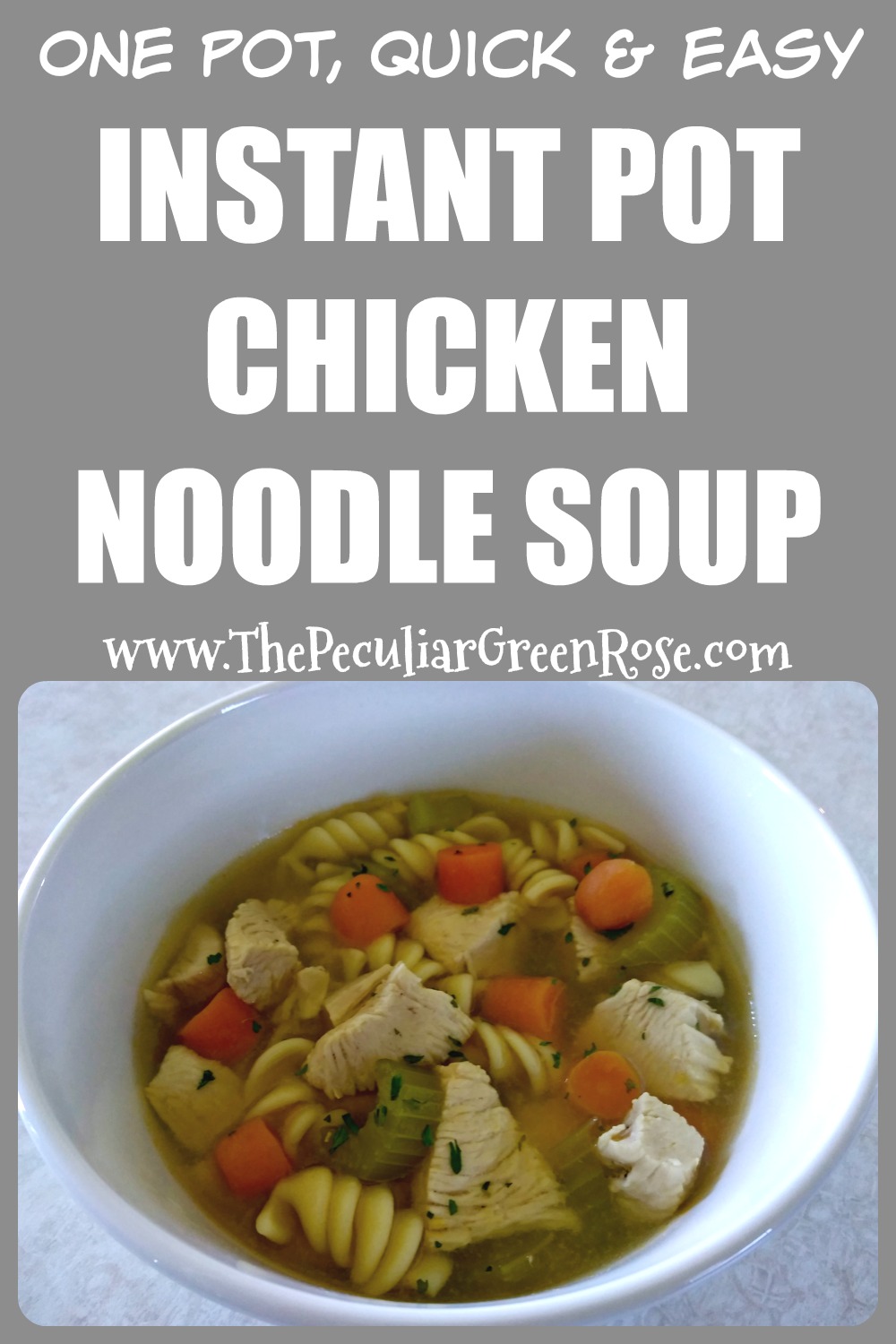 Quick and Easy Chicken Noodle Soup Recipe