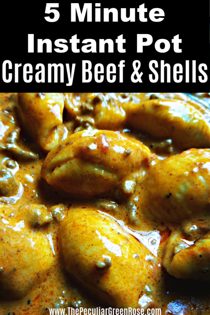 Bowl of Creamy Beef and Shells