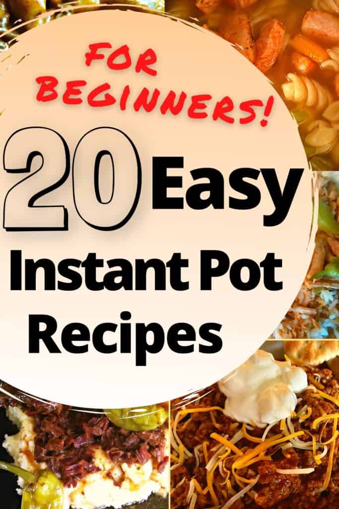 5 different, beginner, Instant Pot meals.