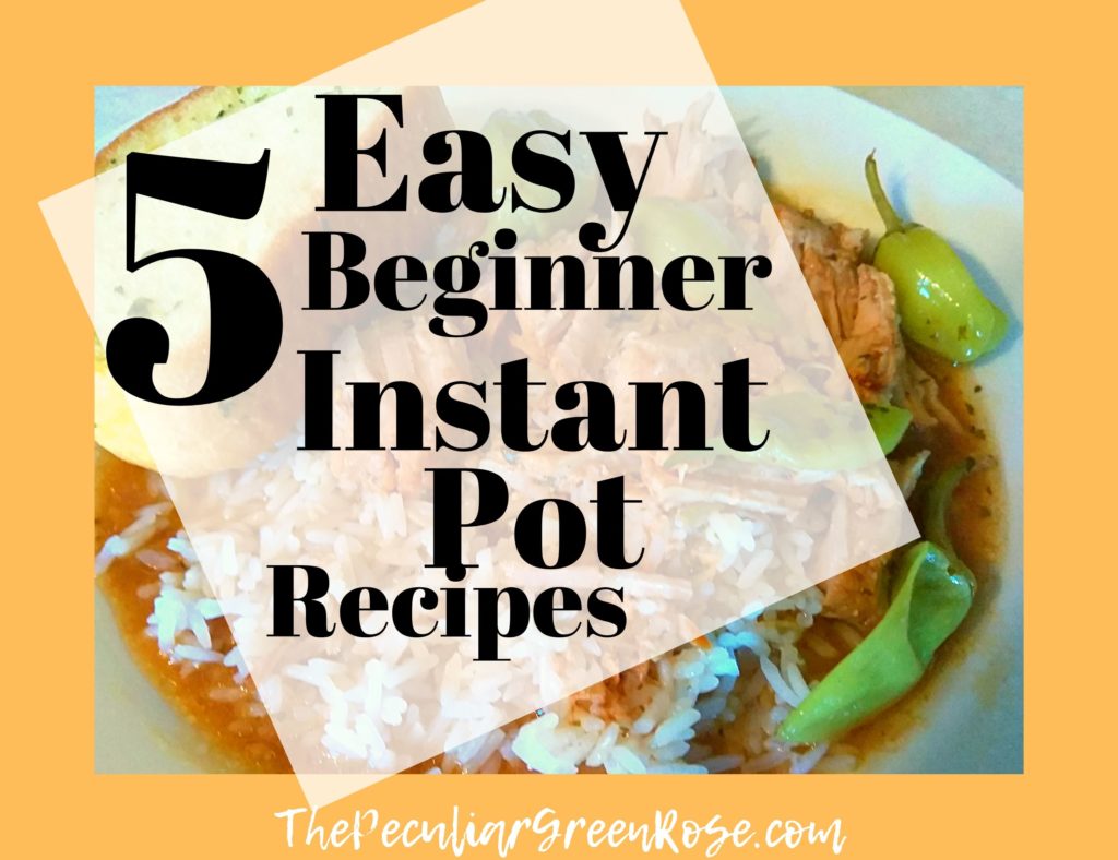 Quickest instant pot recipes best sale