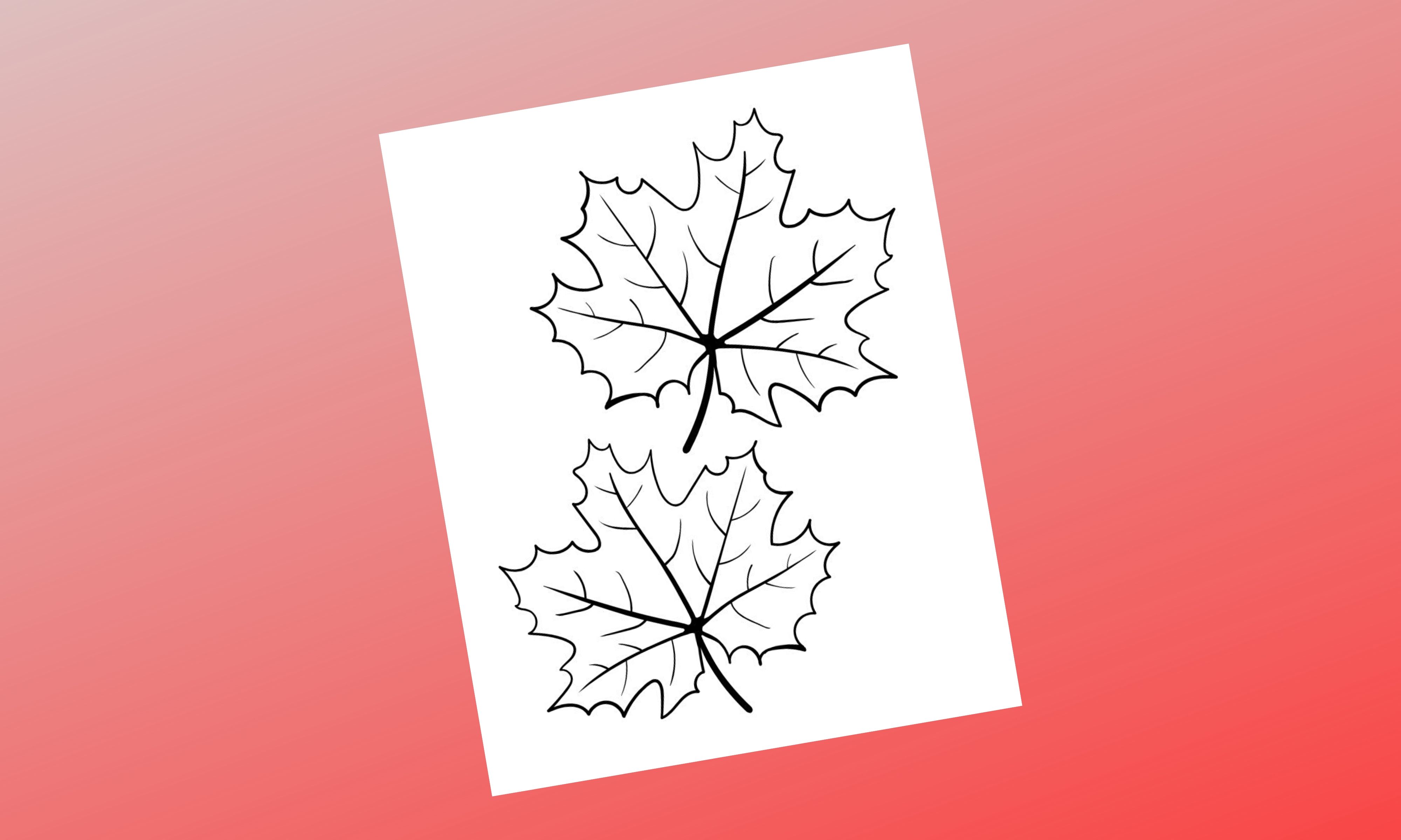 A black and white leaf template.