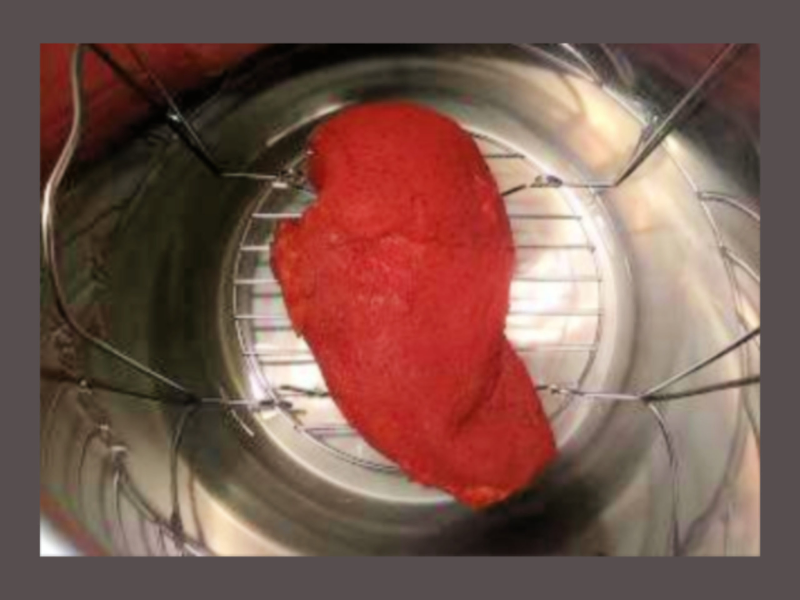 The inside of an Instant Pot with a raw chicken breast on a trivet covered in red rub seasoning.