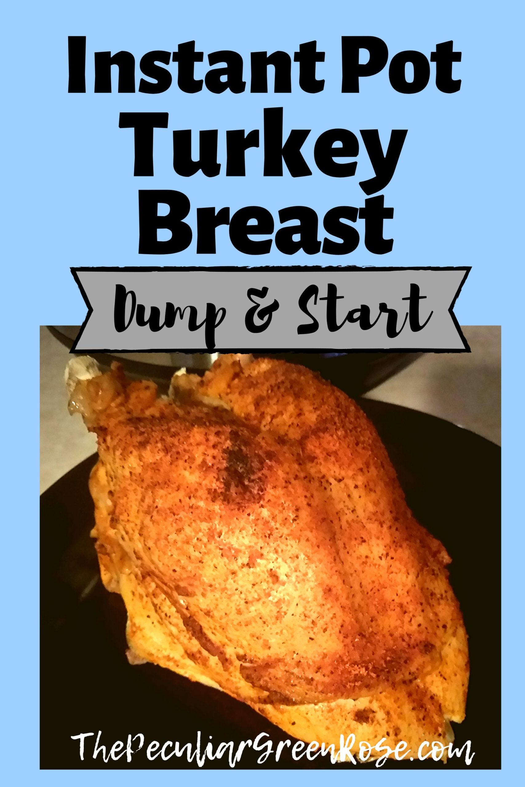 A black plate with a Instant Pot Turkey breast on it and sitting in front of an Instant Pot.