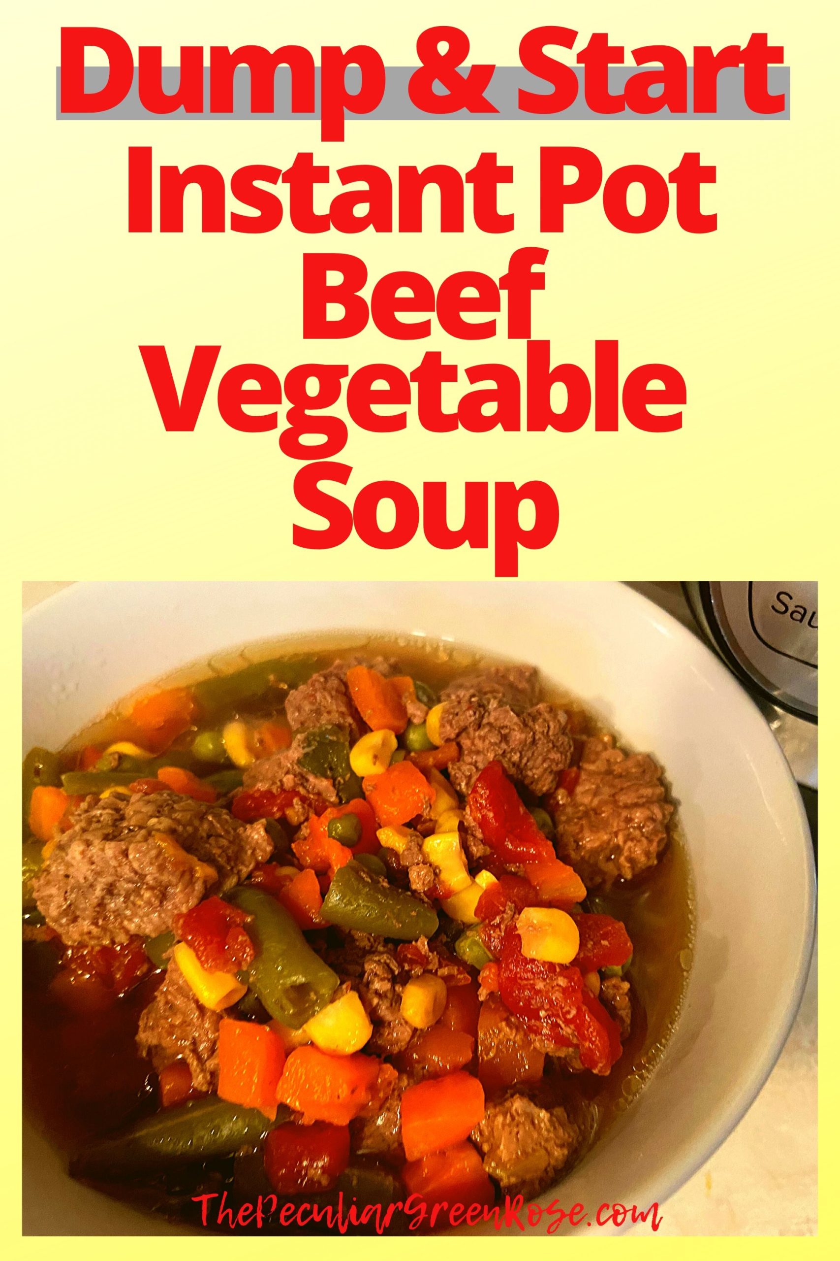 A round white bowl filled with Instant Pot Beef Vegetable Soup on a kitchen counter in front of an Instant Pot.