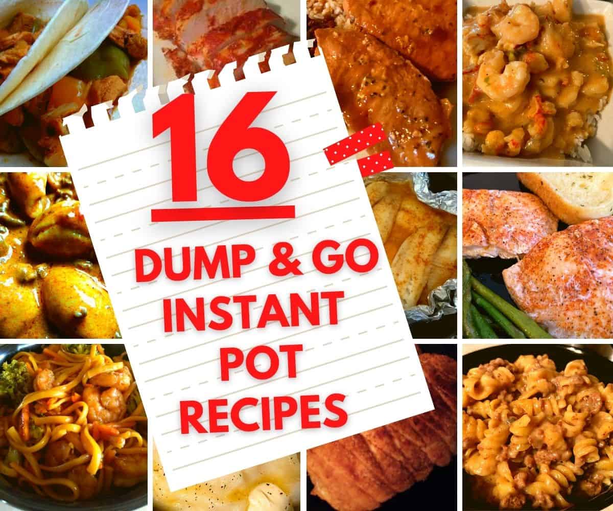 16 Easy Dump and Go Instant Pot Recipes The Peculiar Green Rose
