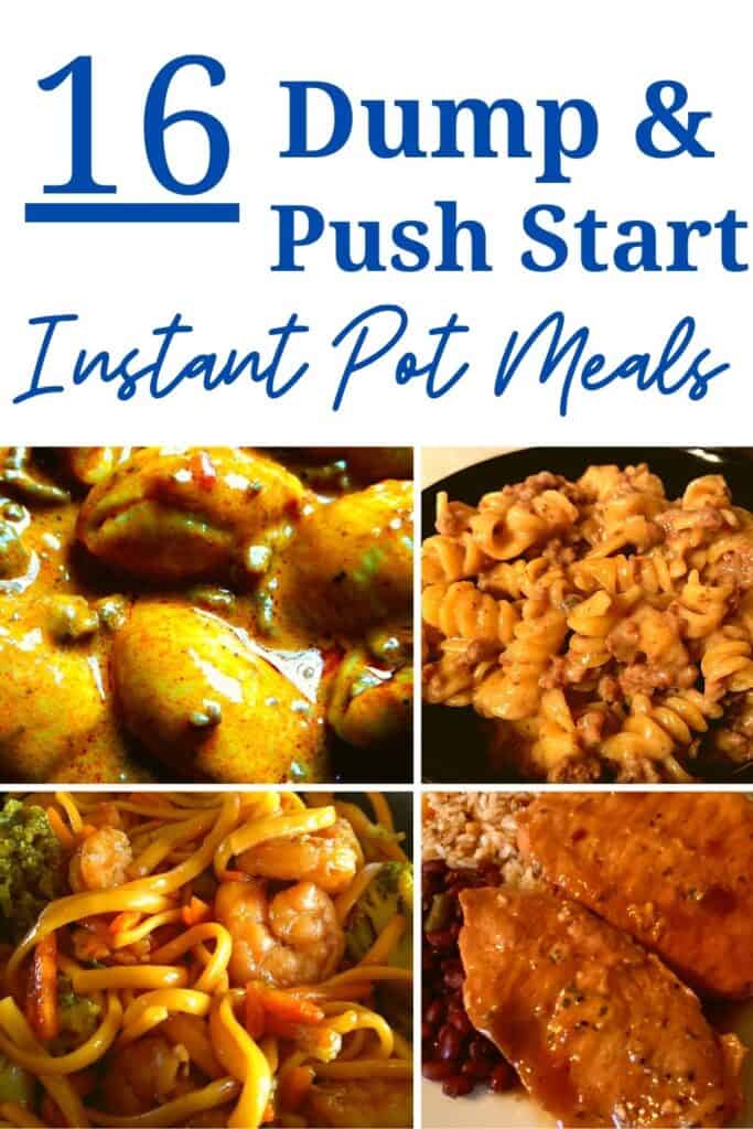 16 Dump and Start Instant Pot Meals