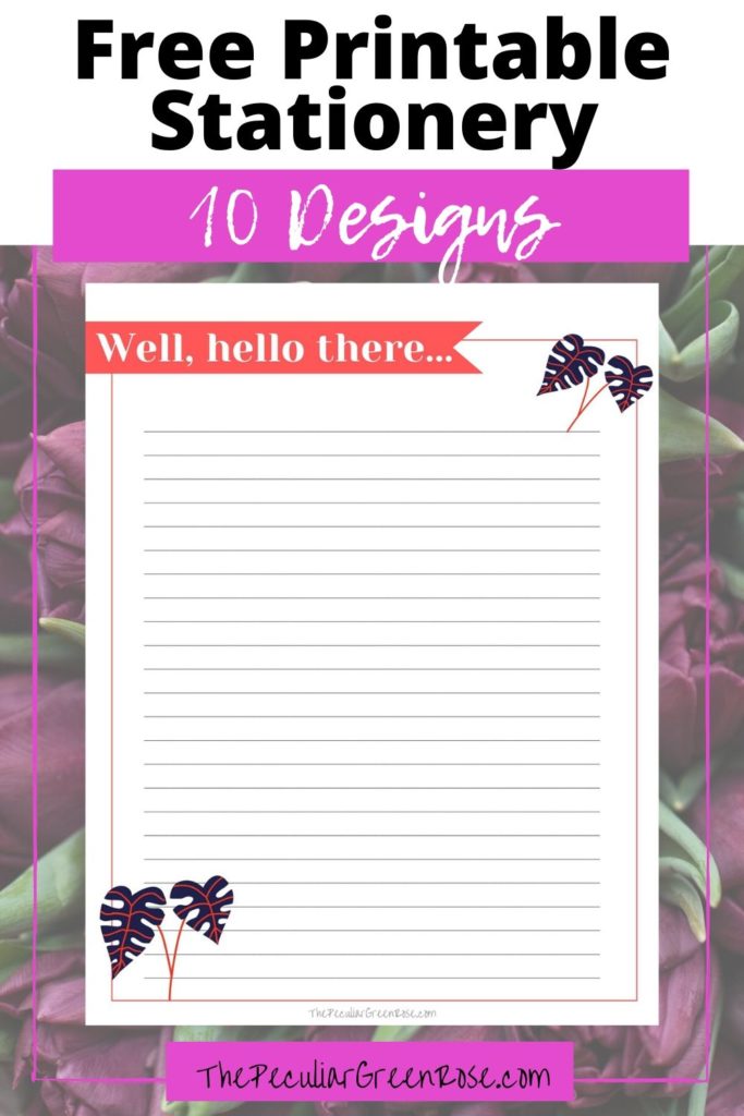 A lined stationery paper with a pink boarder and across the top is reads, "Well, hello there....".