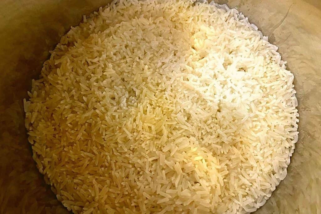 Cooked jasmine rice in an instant pot